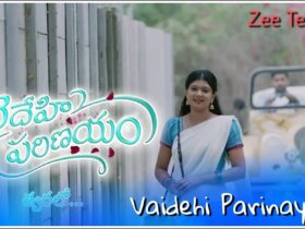 Vaidehi Parinayam Serial (Zee Telugu) Cast, Actor, Actress, Real Names