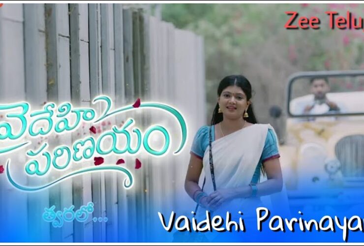 Vaidehi Parinayam Serial (Zee Telugu) Cast, Actor, Actress, Real Names